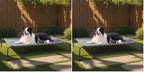 49" Large Elevated Cooling Dog Bed – Breathable Raised Outdoor Pet Cot, Grey