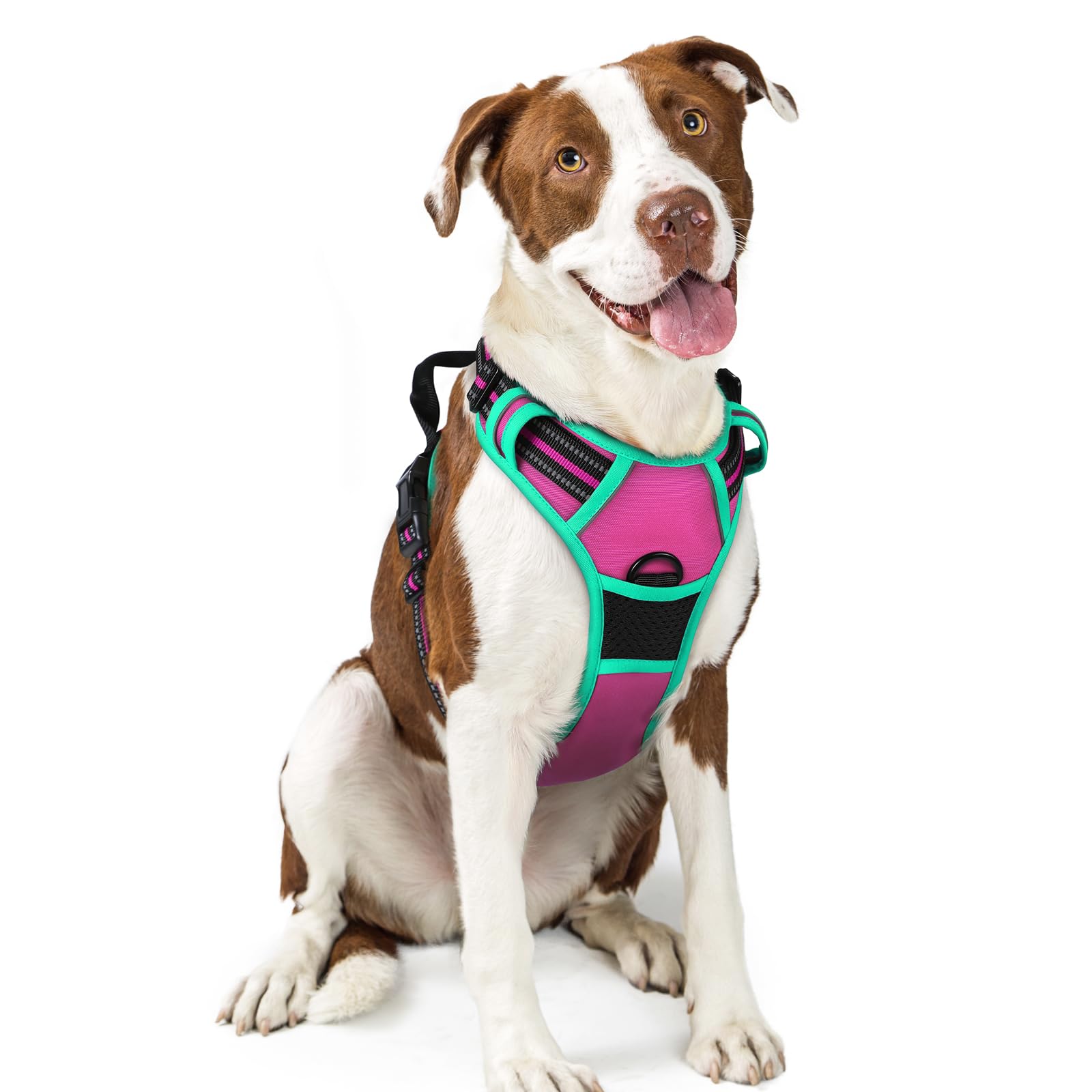No Pull Dog Harness for Large Dogs – Adjustable Pet Vest with 2 Leash Clips