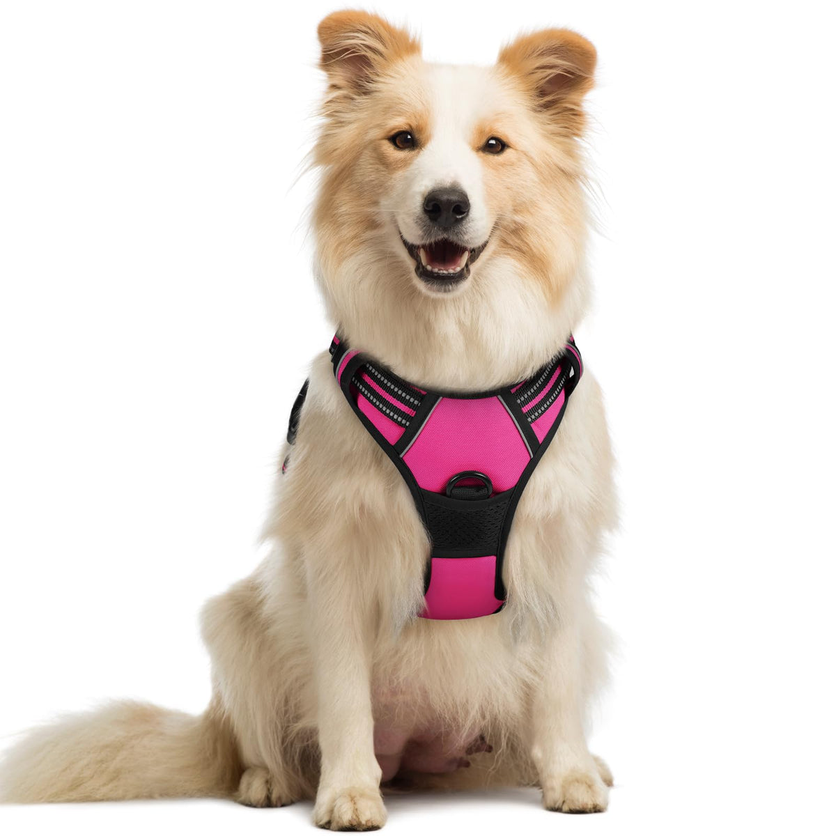 No Pull Dog Harness for Large Dogs – Adjustable Pet Vest with 2 Leash Clips