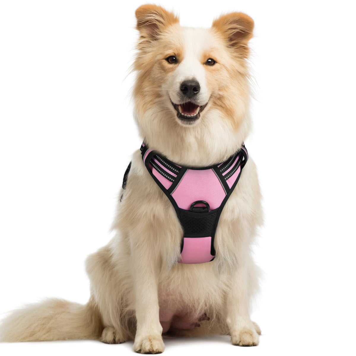 No Pull Dog Harness for Large Dogs – Adjustable Pet Vest with 2 Leash Clips