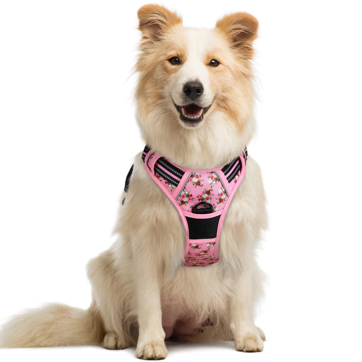 No Pull Dog Harness for Large Dogs – Adjustable Pet Vest with 2 Leash Clips