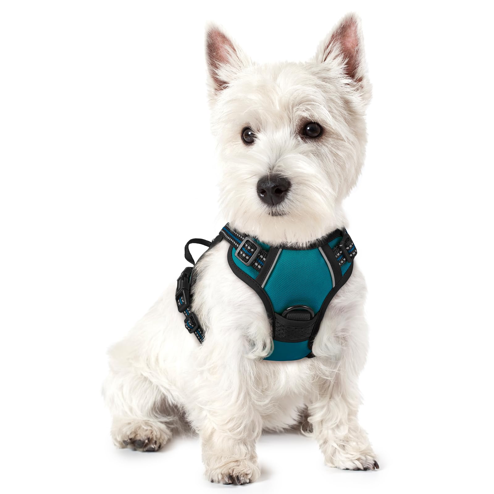 No Pull Dog Harness for Large Dogs – Adjustable Pet Vest with 2 Leash Clips