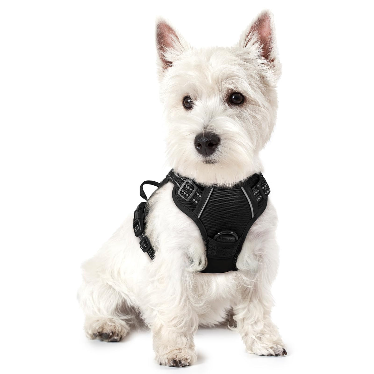 No Pull Dog Harness for Large Dogs – Adjustable Pet Vest with 2 Leash Clips