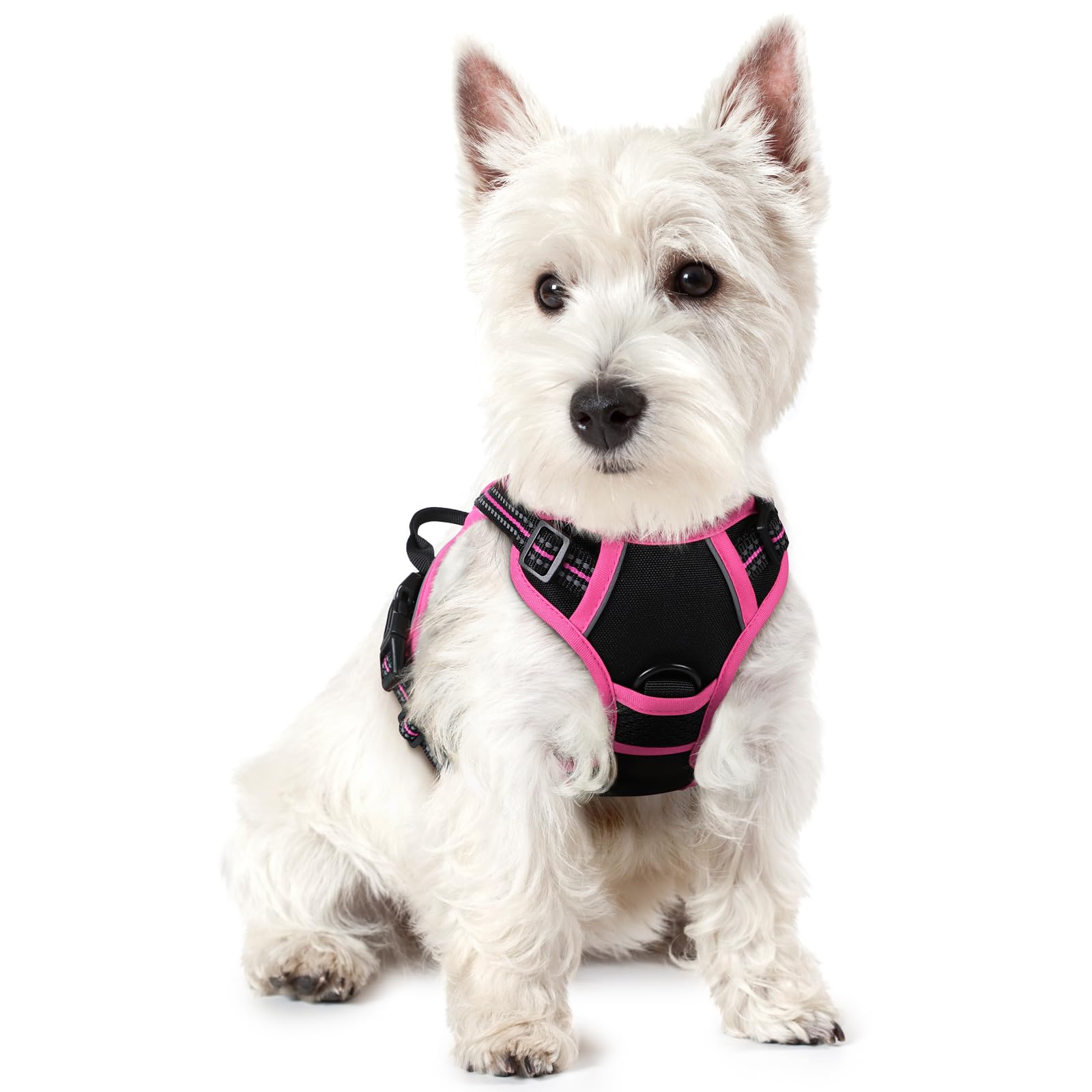 No Pull Dog Harness for Large Dogs – Adjustable Pet Vest with 2 Leash Clips
