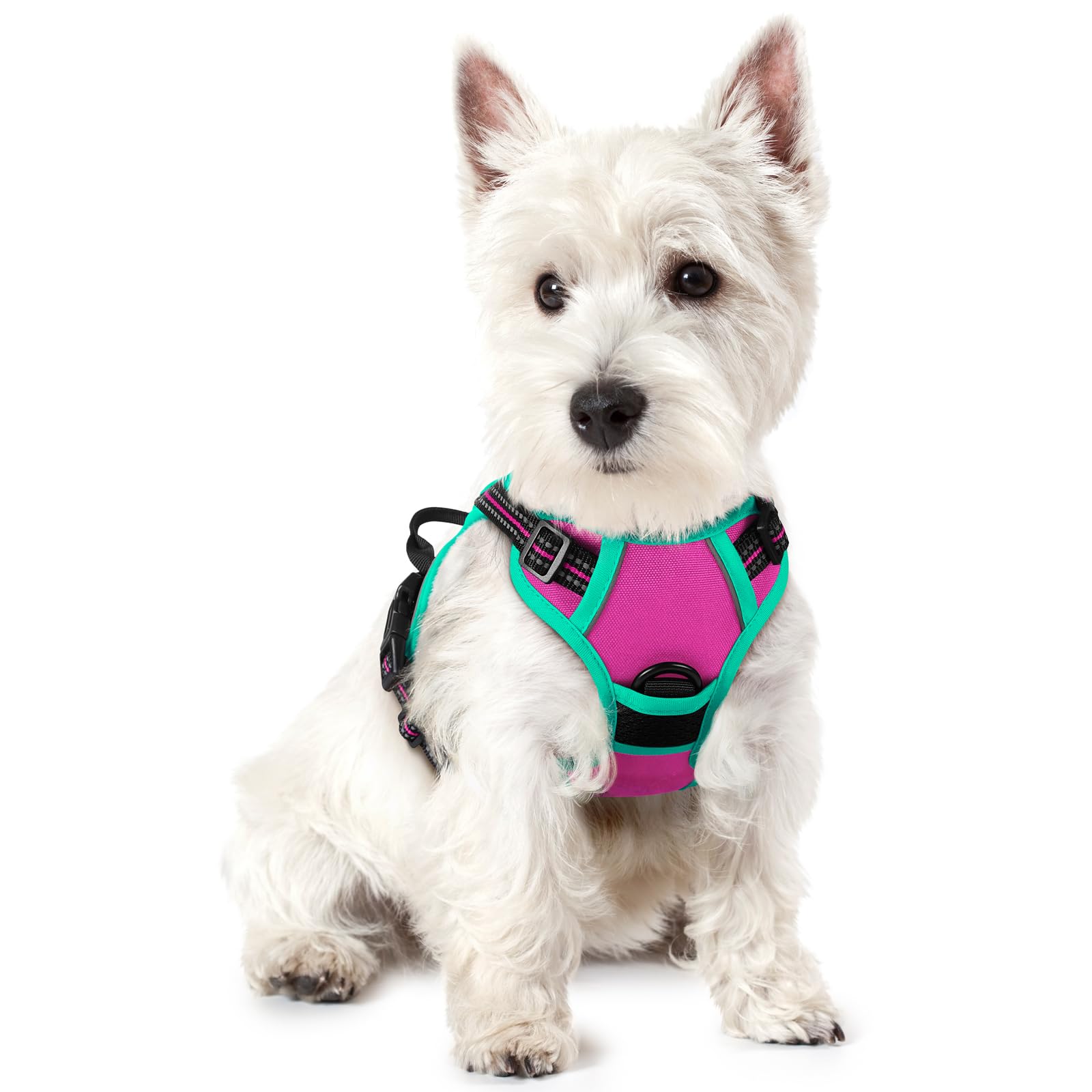 No Pull Dog Harness for Large Dogs – Adjustable Pet Vest with 2 Leash Clips