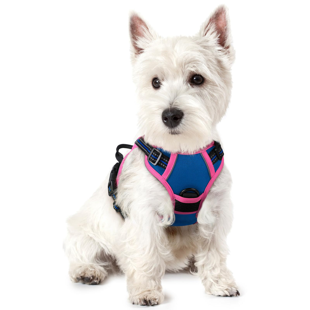 No Pull Dog Harness for Large Dogs – Adjustable Pet Vest with 2 Leash Clips