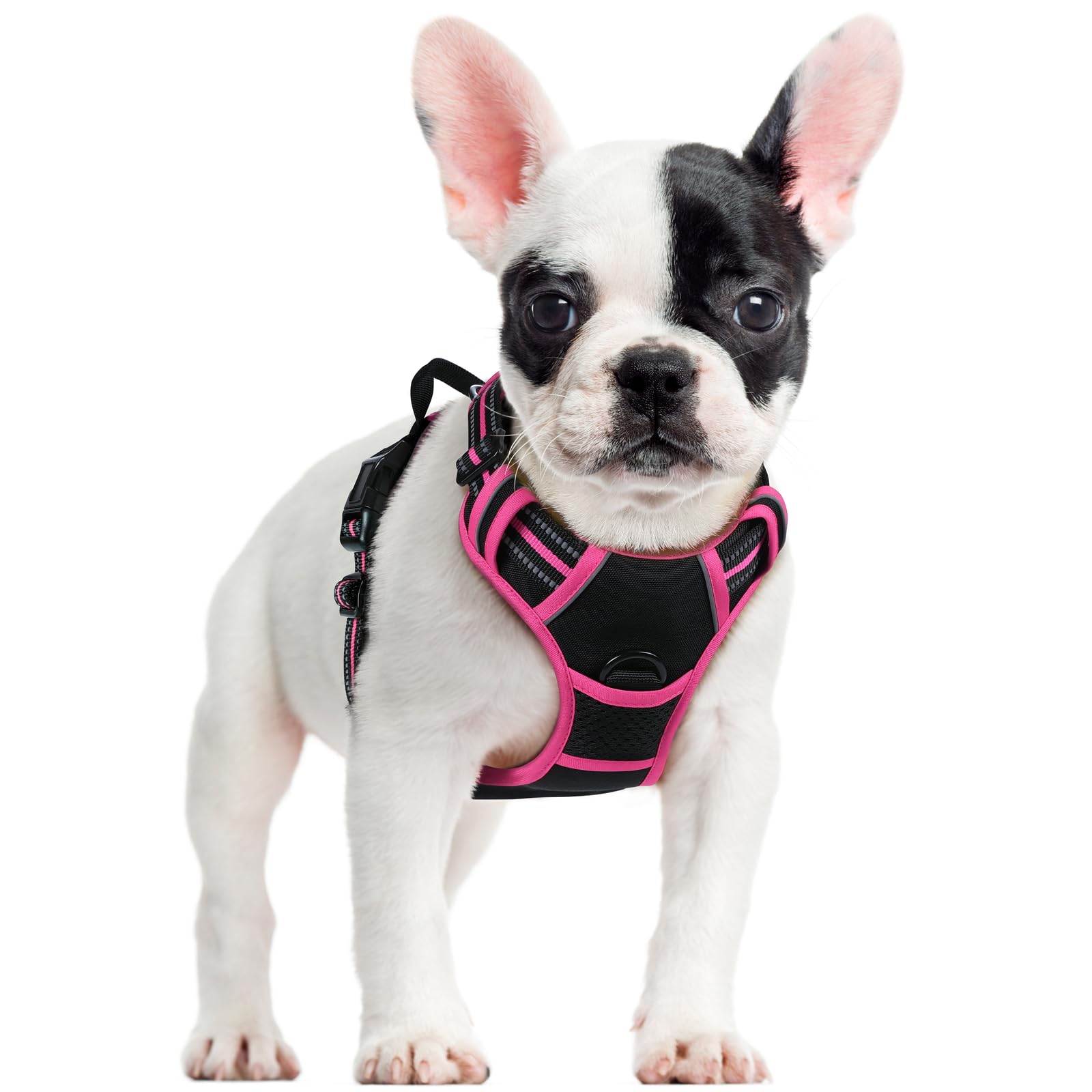 No Pull Dog Harness for Large Dogs – Adjustable Pet Vest with 2 Leash Clips