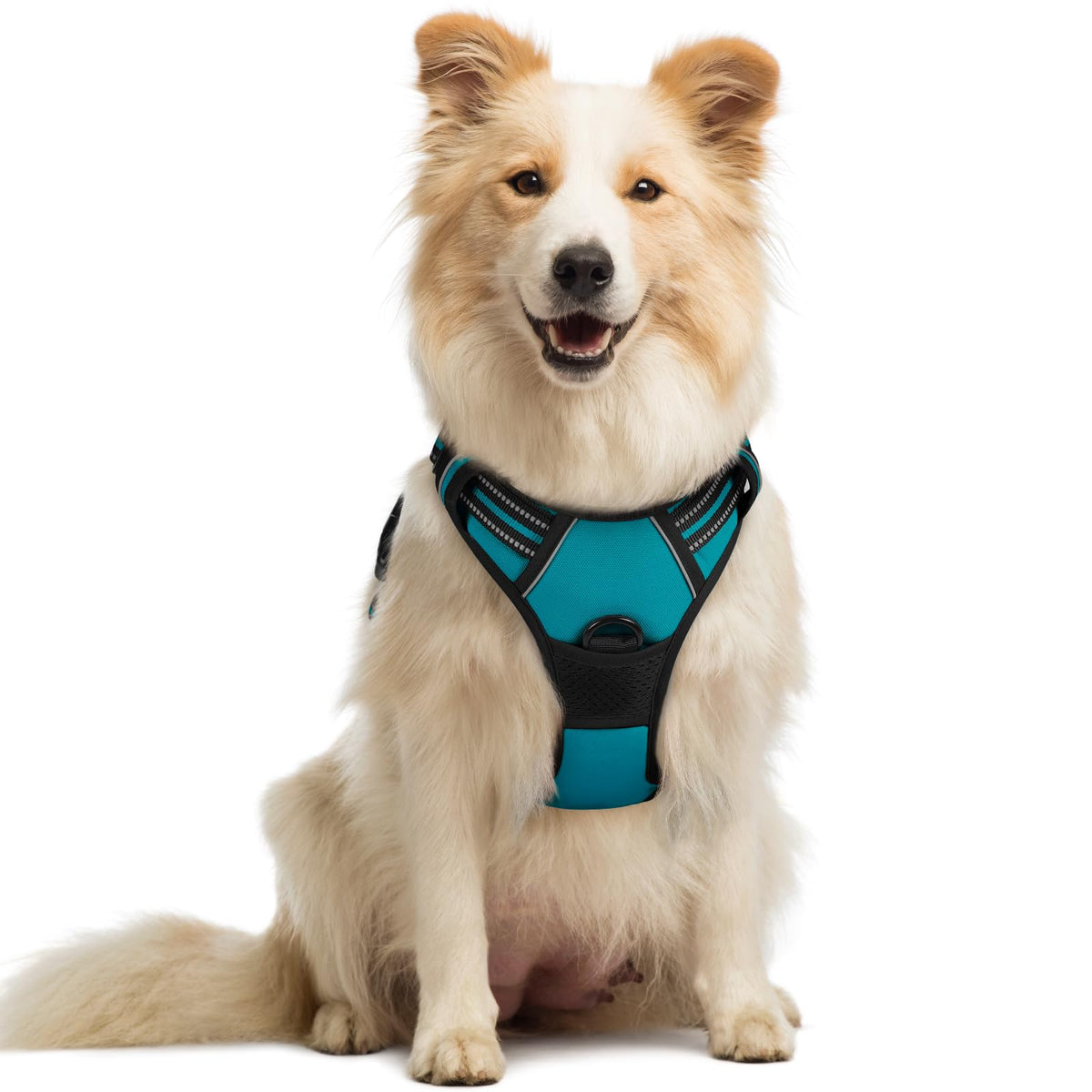 No Pull Dog Harness for Large Dogs – Adjustable Pet Vest with 2 Leash Clips