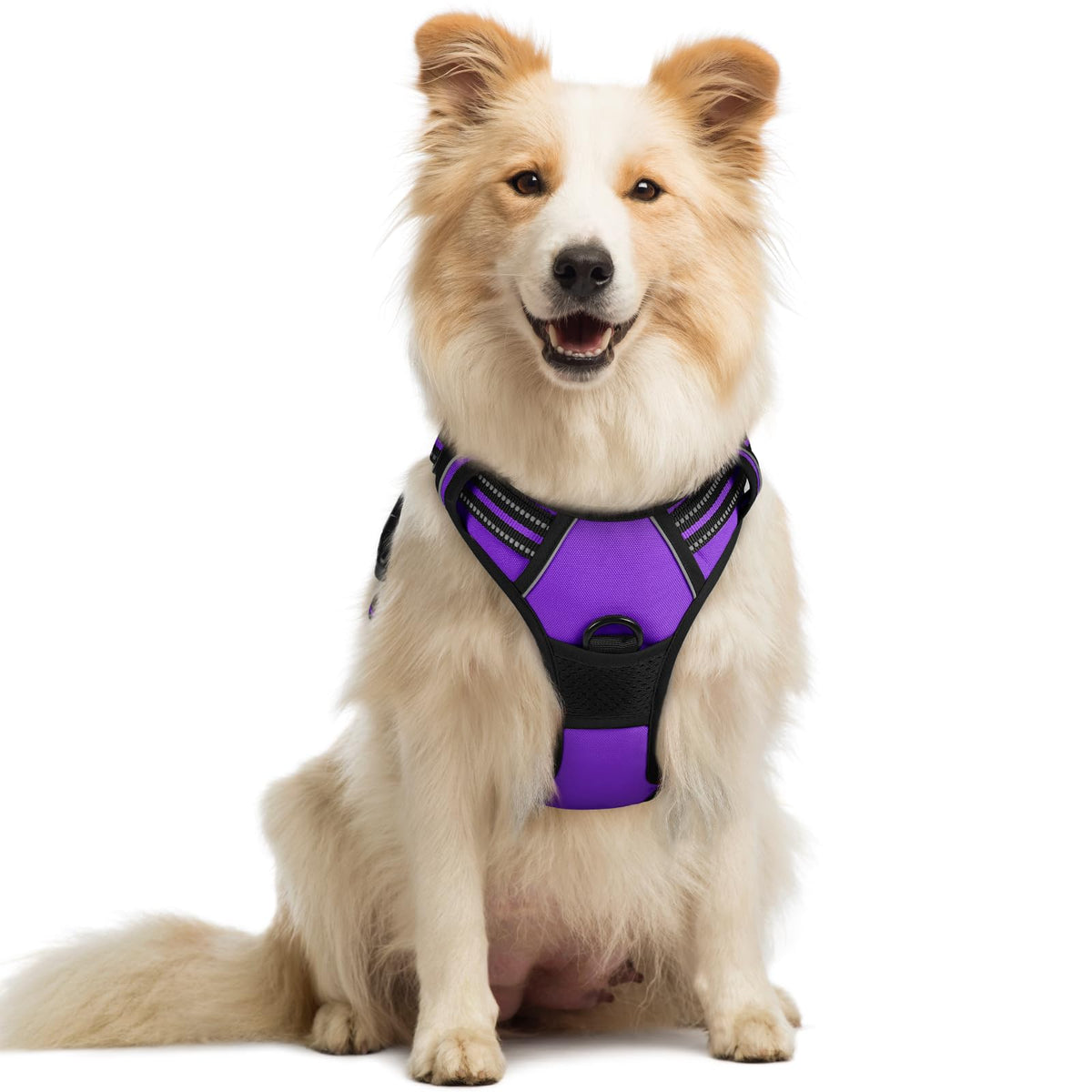 No Pull Dog Harness for Large Dogs – Adjustable Pet Vest with 2 Leash Clips