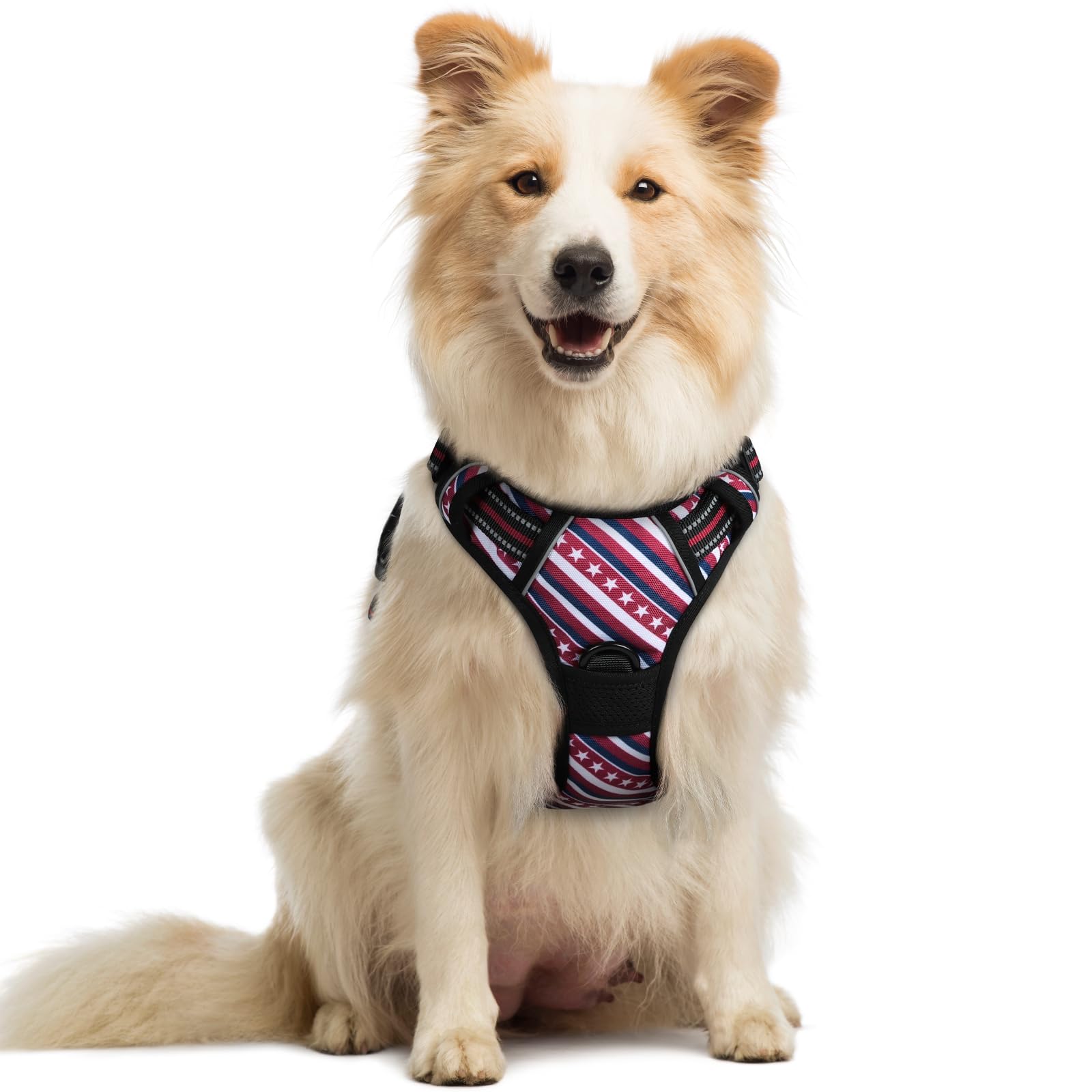No Pull Dog Harness for Large Dogs – Adjustable Pet Vest with 2 Leash Clips