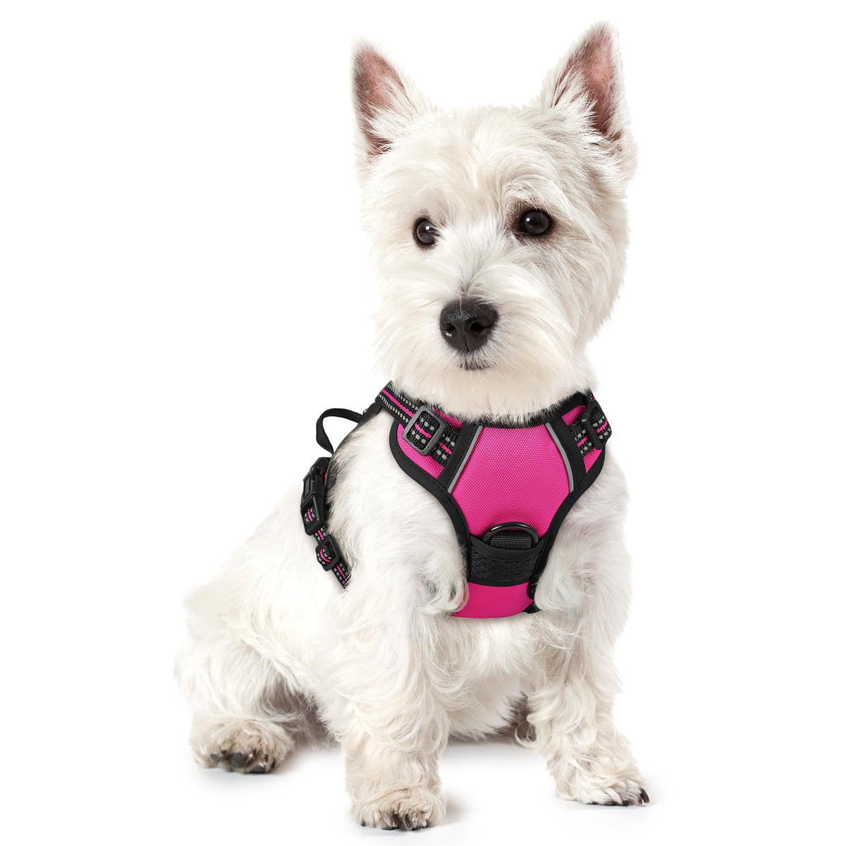 No Pull Dog Harness for Large Dogs – Adjustable Pet Vest with 2 Leash Clips