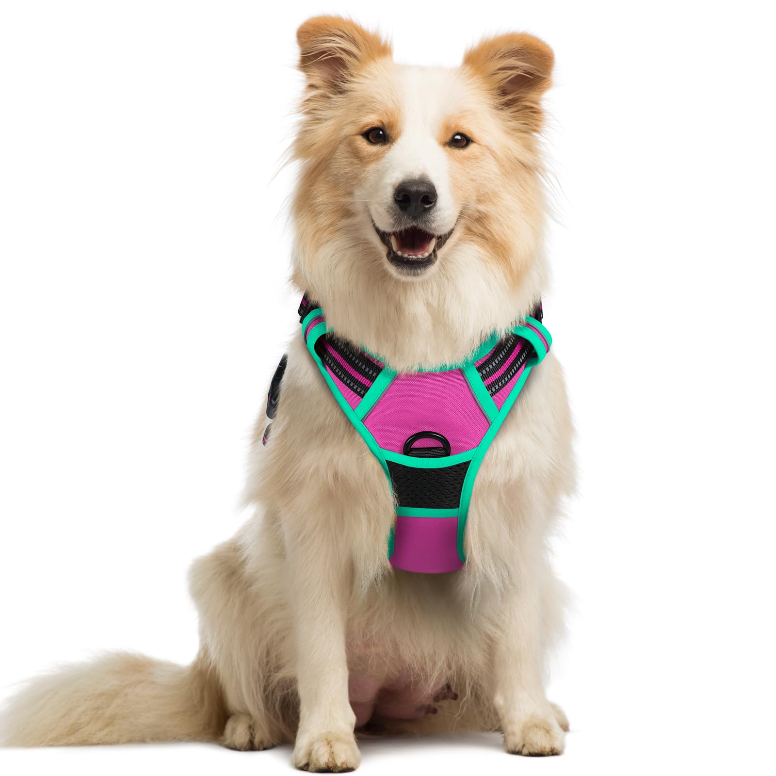 No Pull Dog Harness for Large Dogs – Adjustable Pet Vest with 2 Leash Clips