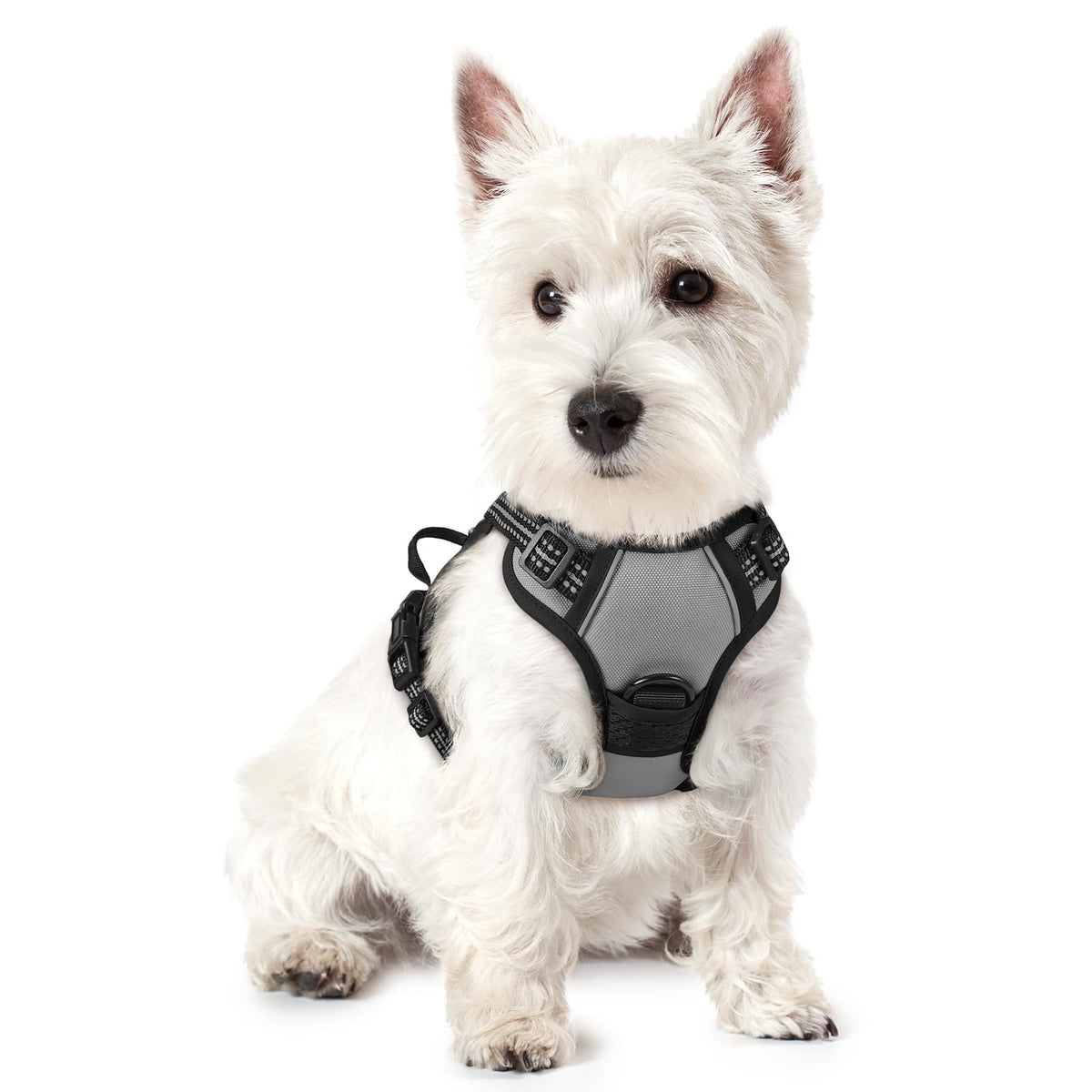 No Pull Dog Harness for Large Dogs – Adjustable Pet Vest with 2 Leash Clips