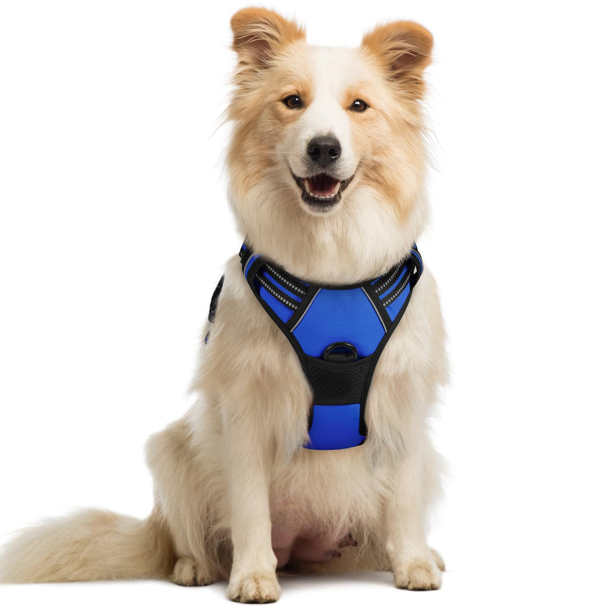No Pull Dog Harness for Large Dogs – Adjustable Pet Vest with 2 Leash Clips