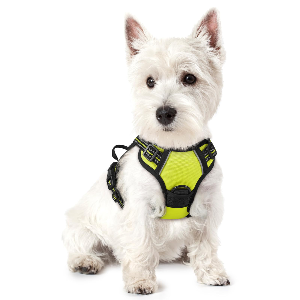 No Pull Dog Harness for Large Dogs – Adjustable Pet Vest with 2 Leash Clips