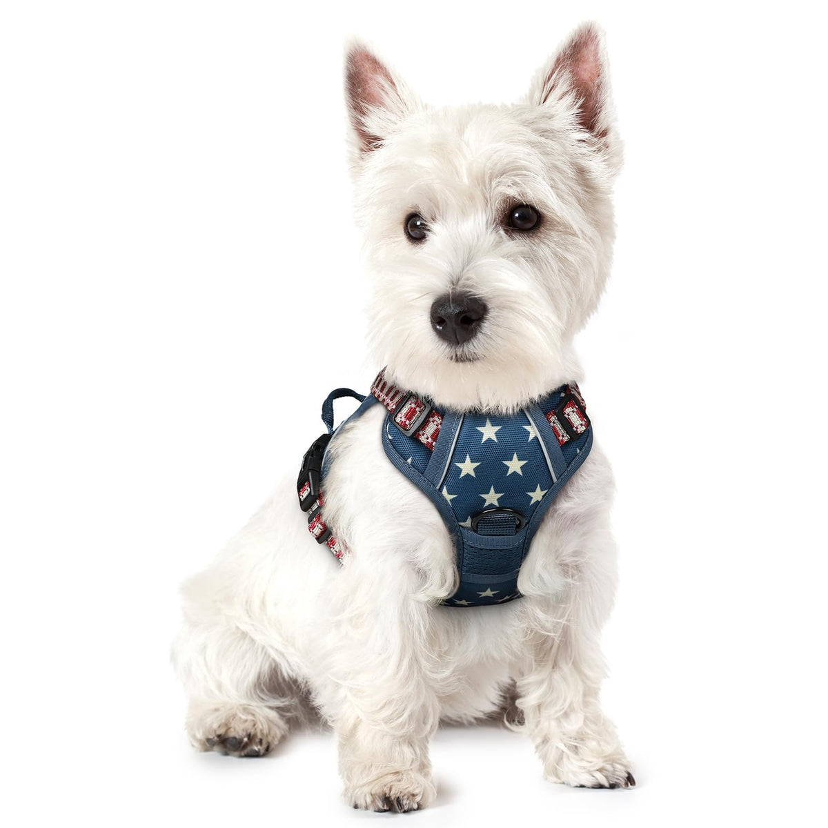 No Pull Dog Harness for Large Dogs – Adjustable Pet Vest with 2 Leash Clips