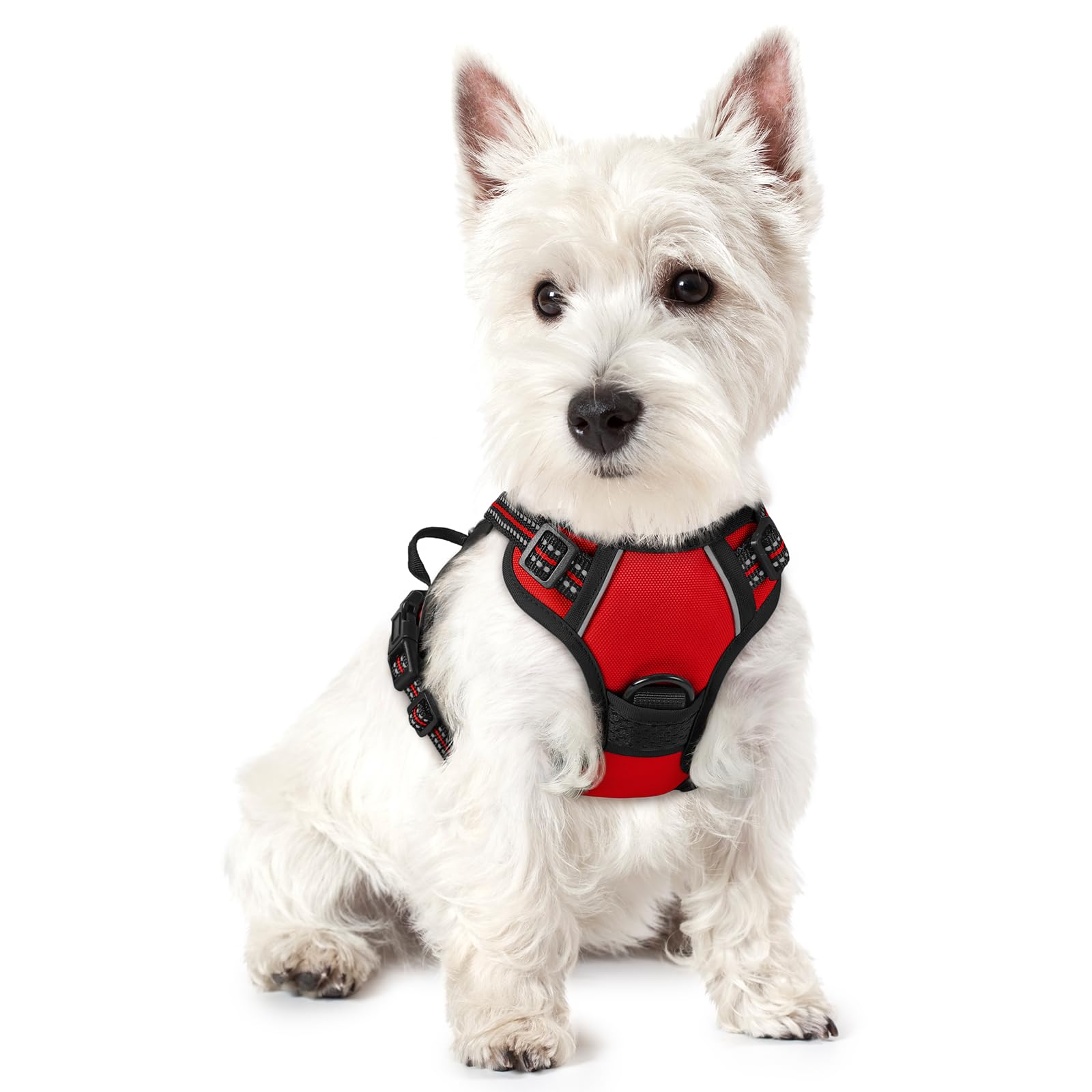 No Pull Dog Harness for Large Dogs – Adjustable Pet Vest with 2 Leash Clips