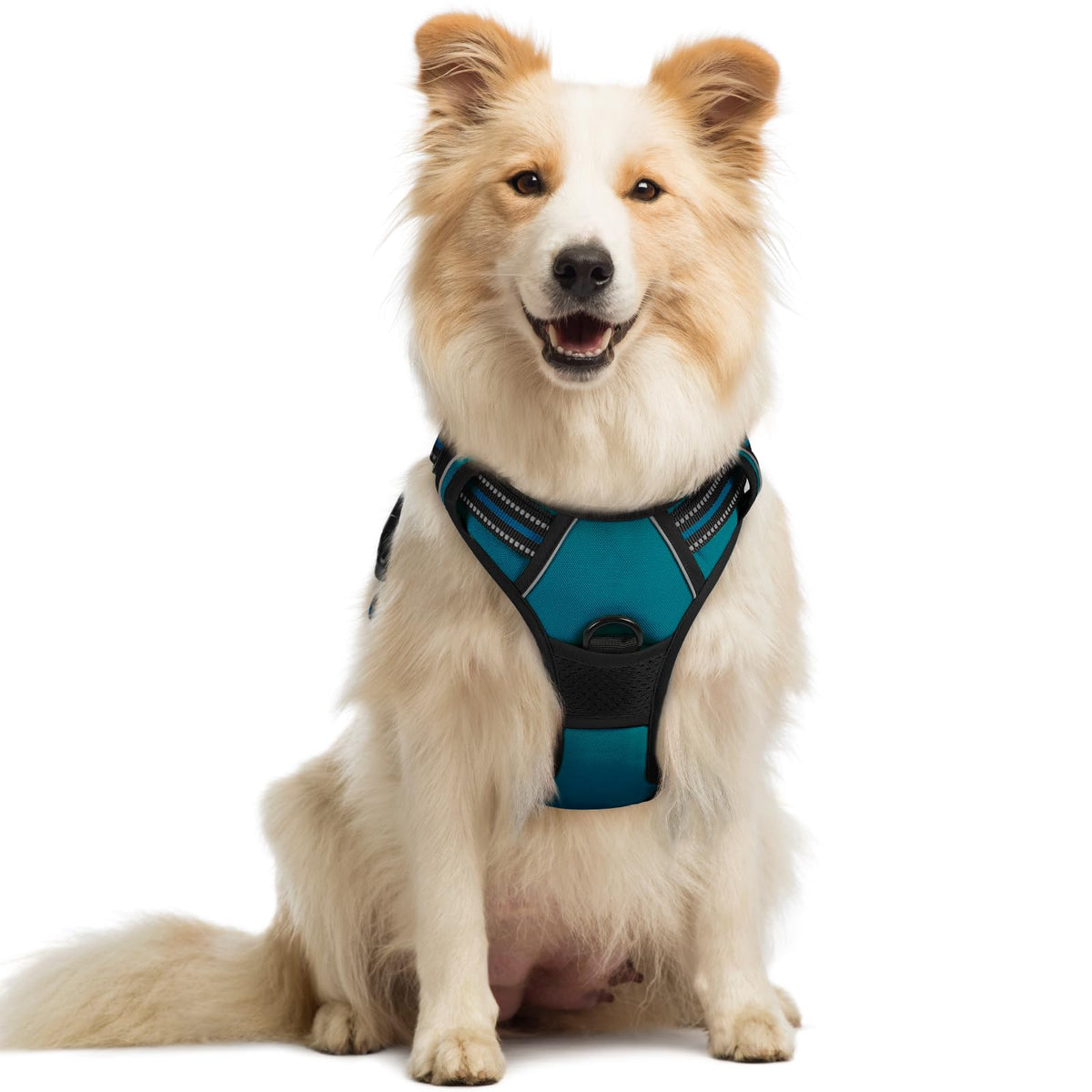 No Pull Dog Harness for Large Dogs – Adjustable Pet Vest with 2 Leash Clips