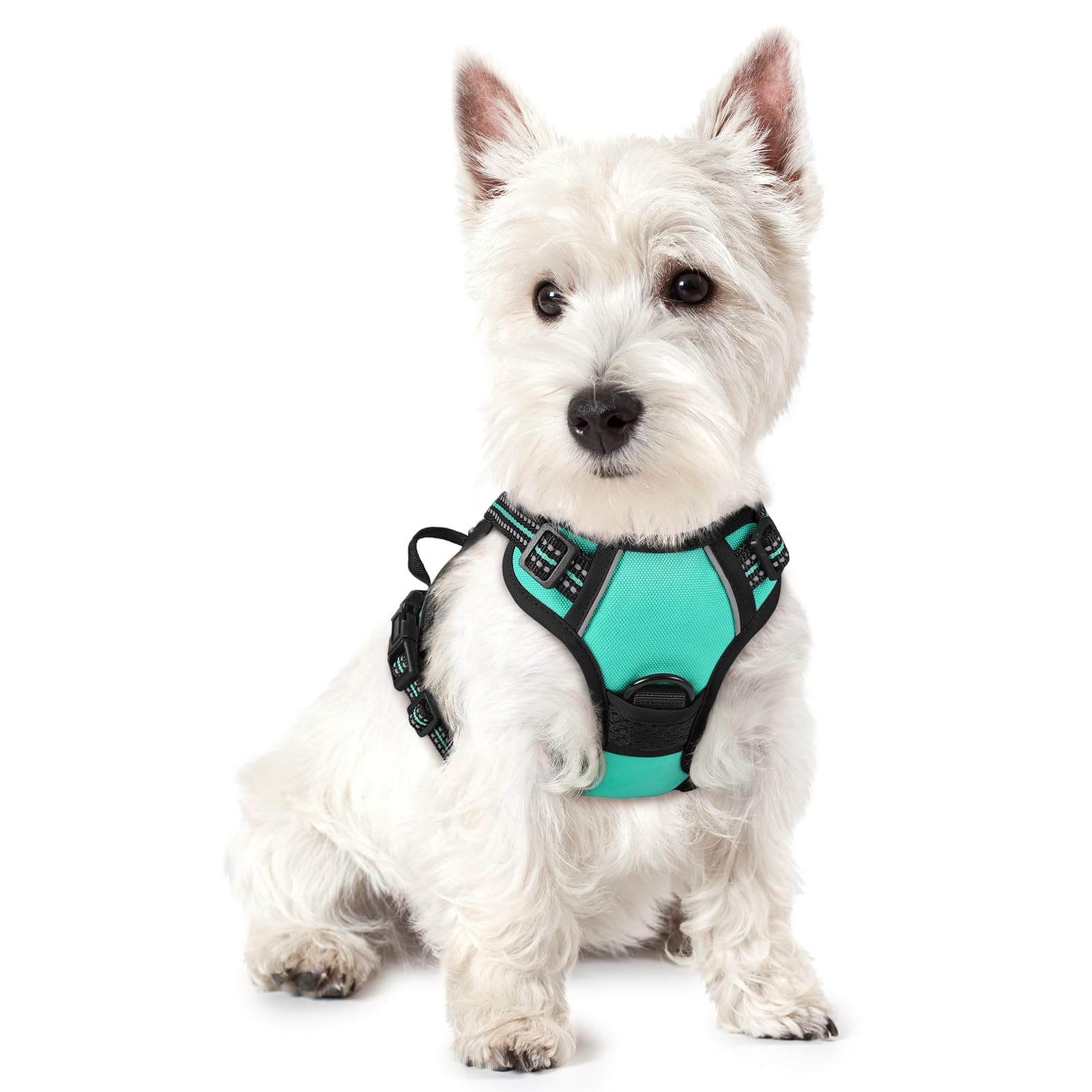 No Pull Dog Harness for Large Dogs – Adjustable Pet Vest with 2 Leash Clips