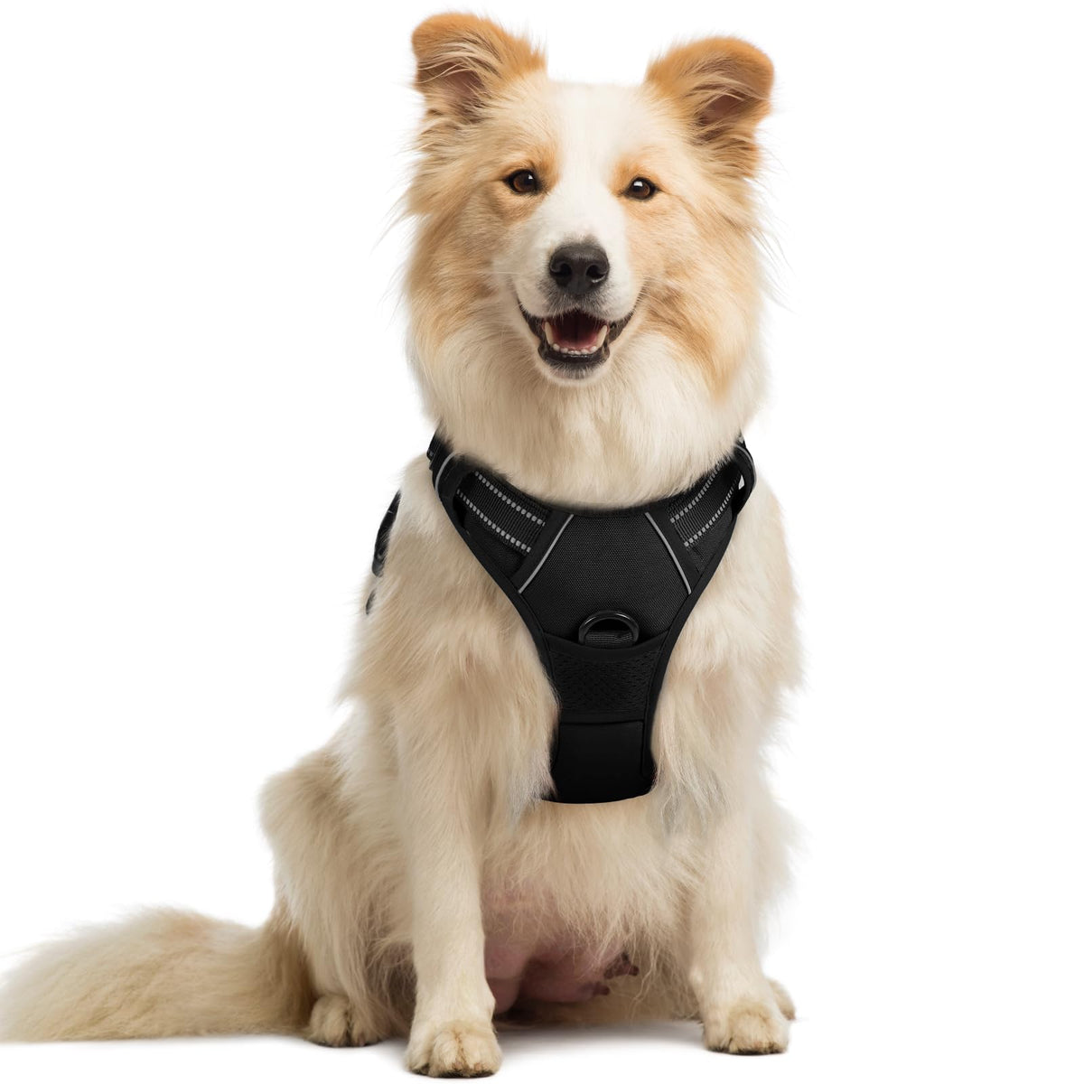 No Pull Dog Harness for Large Dogs – Adjustable Pet Vest with 2 Leash Clips