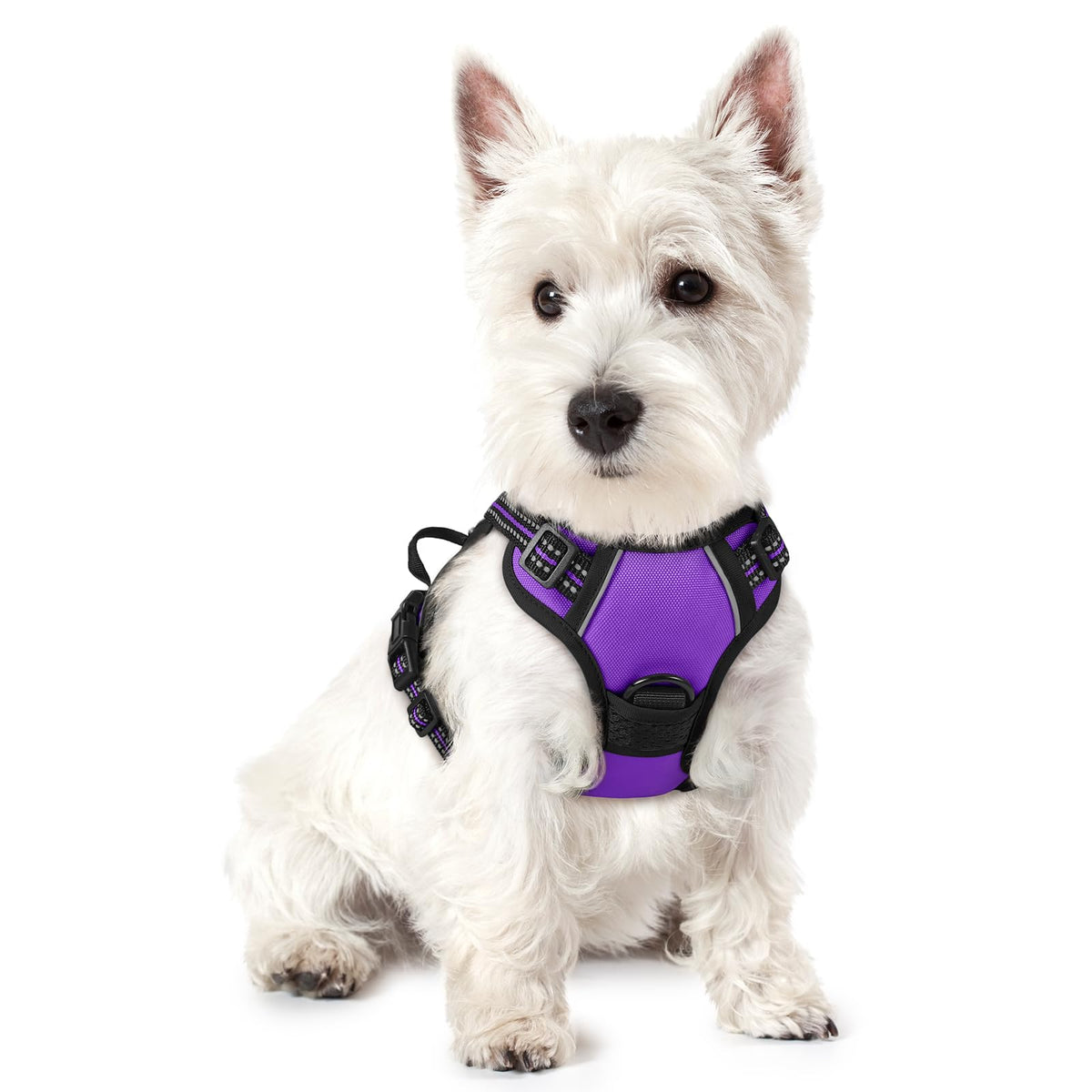 No Pull Dog Harness for Large Dogs – Adjustable Pet Vest with 2 Leash Clips