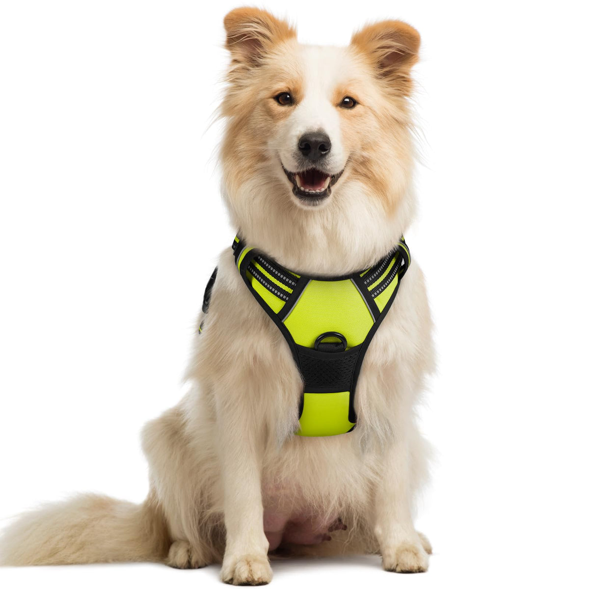 No Pull Dog Harness for Large Dogs – Adjustable Pet Vest with 2 Leash Clips