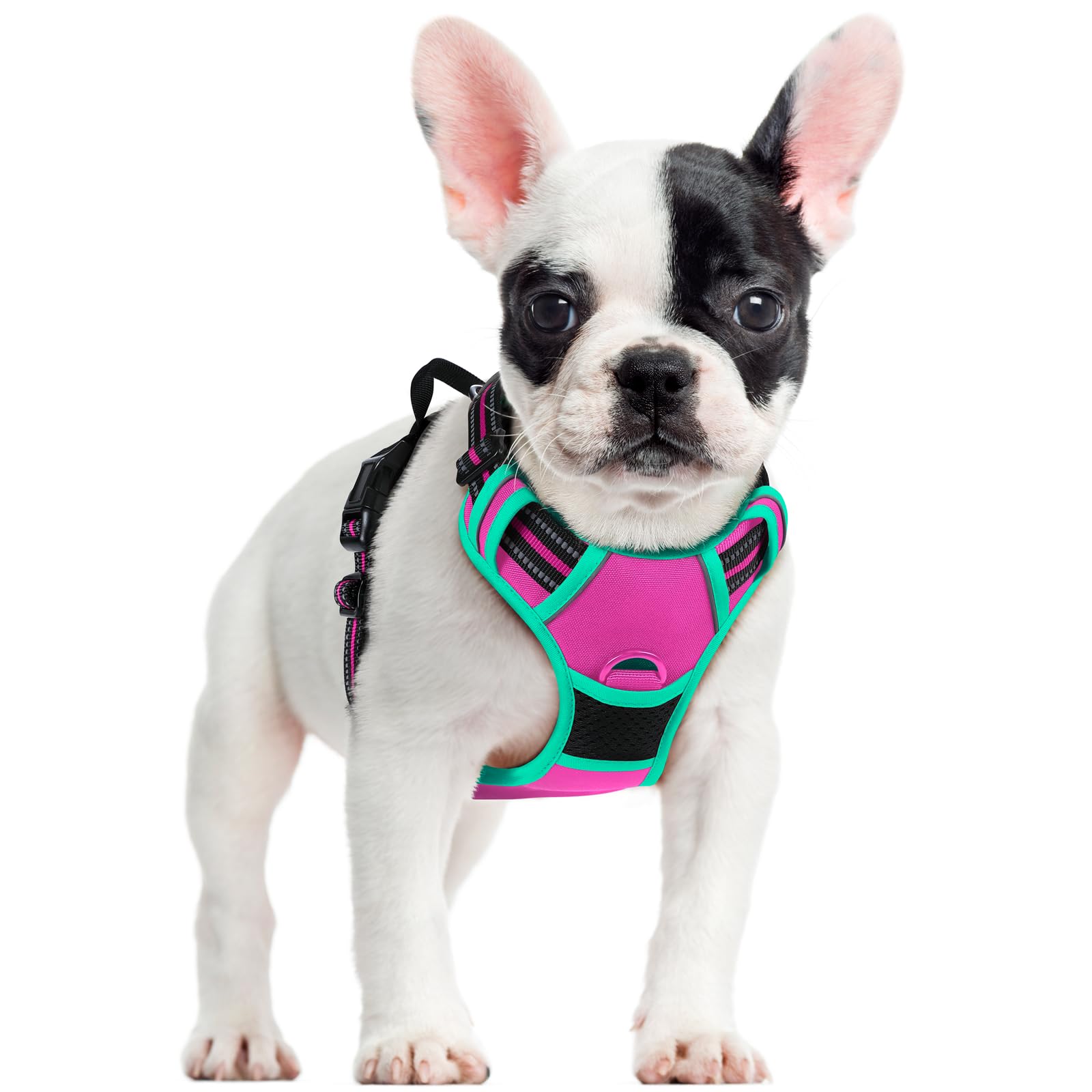 No Pull Dog Harness for Large Dogs – Adjustable Pet Vest with 2 Leash Clips