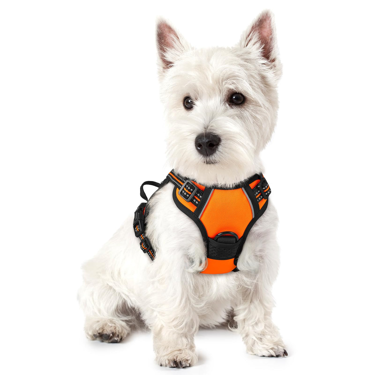 No Pull Dog Harness for Large Dogs – Adjustable Pet Vest with 2 Leash Clips