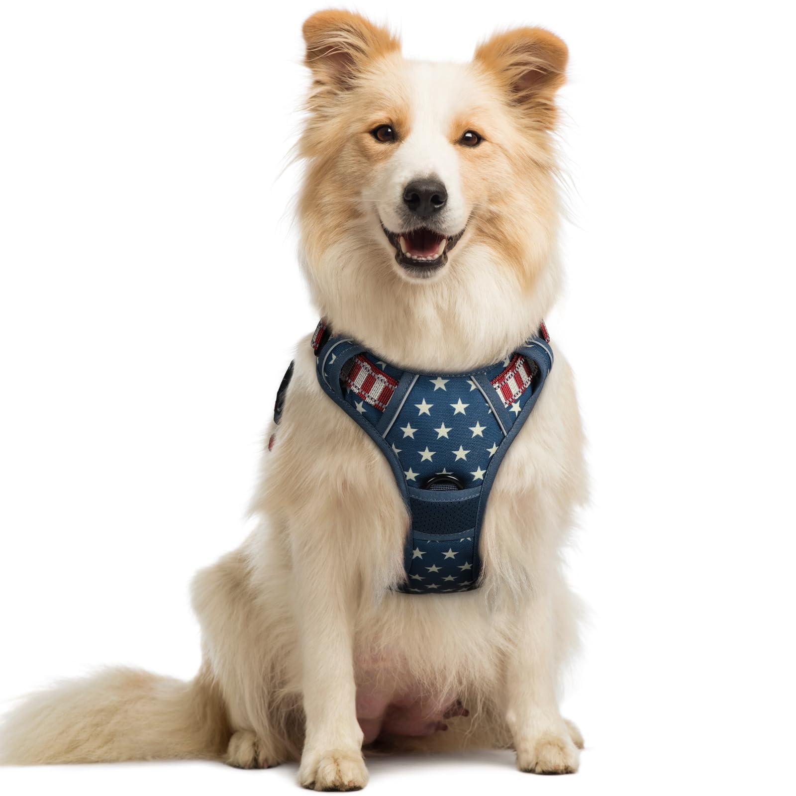 No Pull Dog Harness for Large Dogs – Adjustable Pet Vest with 2 Leash Clips