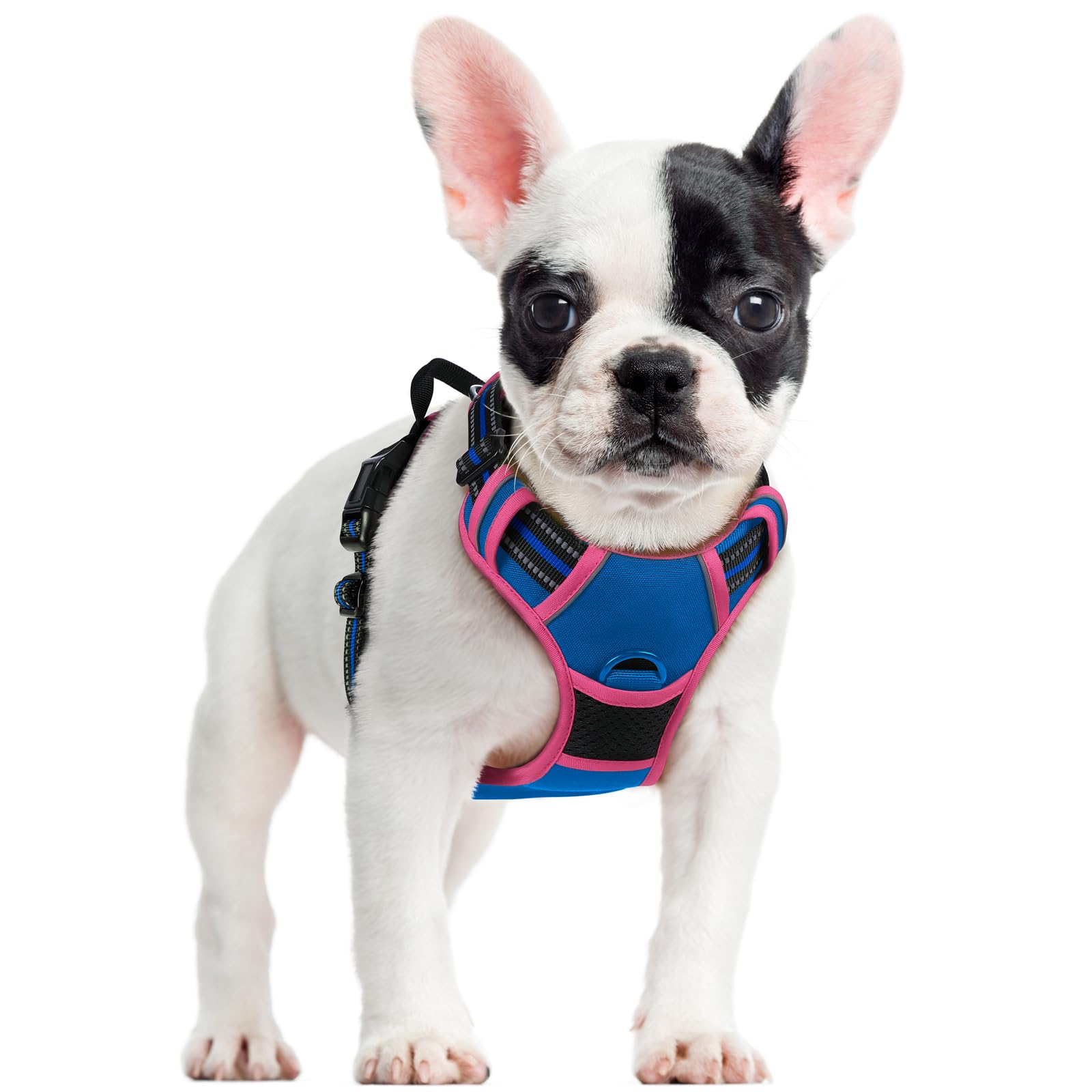 No Pull Dog Harness for Large Dogs – Adjustable Pet Vest with 2 Leash Clips