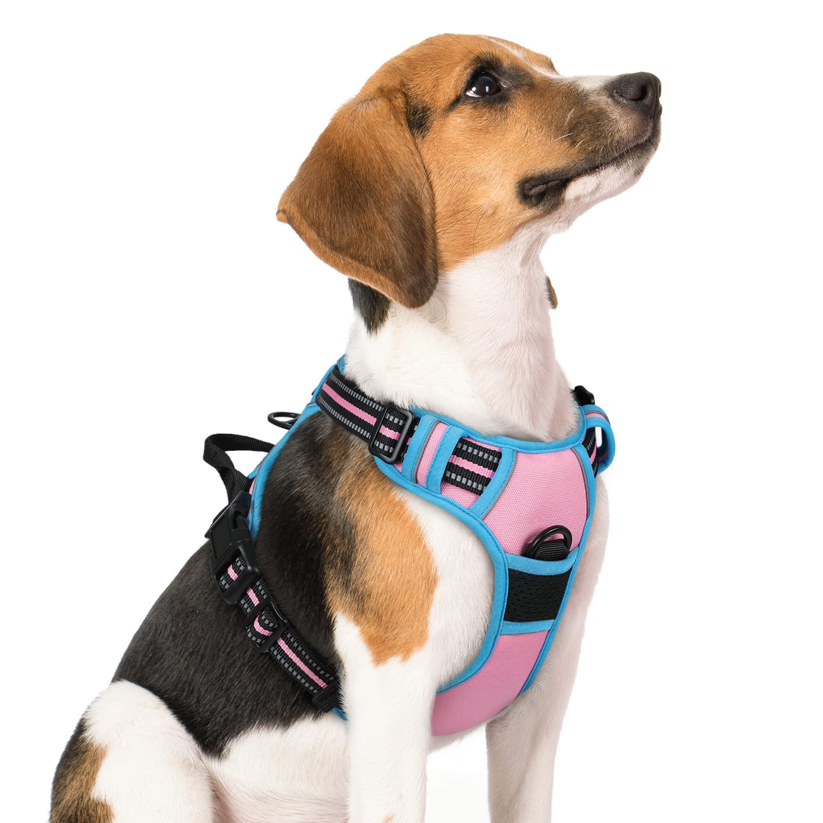 No Pull Dog Harness for Large Dogs – Adjustable Pet Vest with 2 Leash Clips