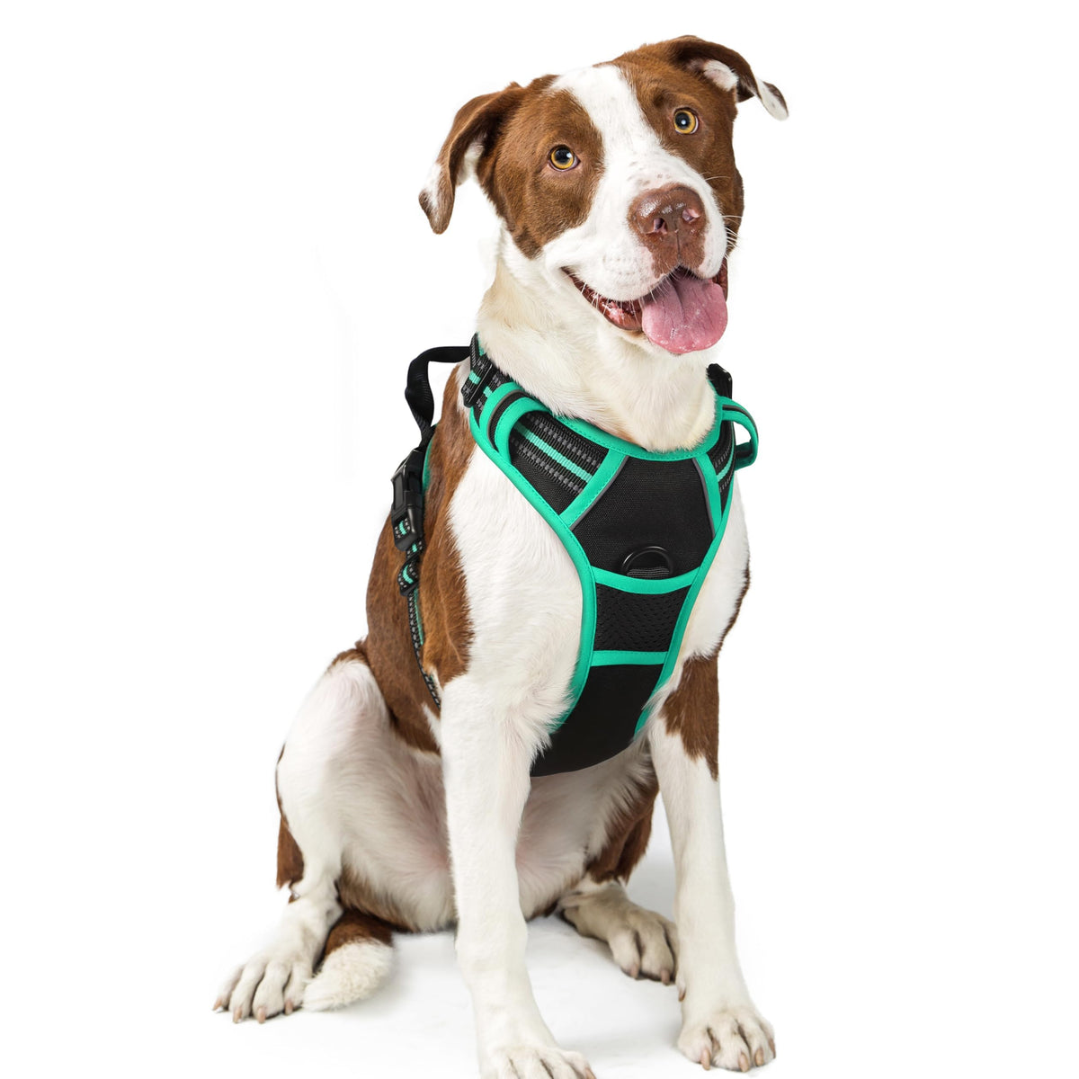 No Pull Dog Harness for Large Dogs – Adjustable Pet Vest with 2 Leash Clips