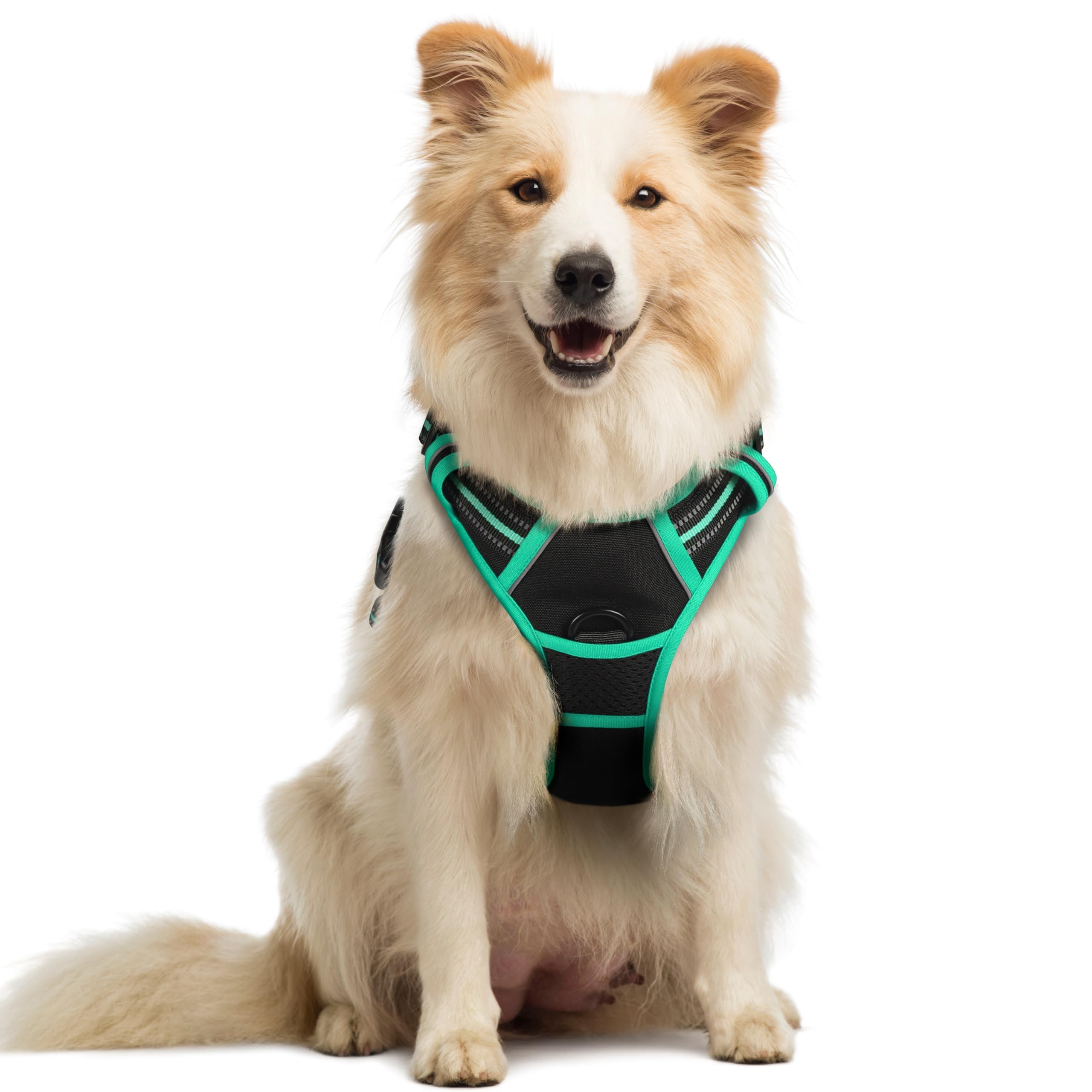 No Pull Dog Harness for Large Dogs – Adjustable Pet Vest with 2 Leash Clips