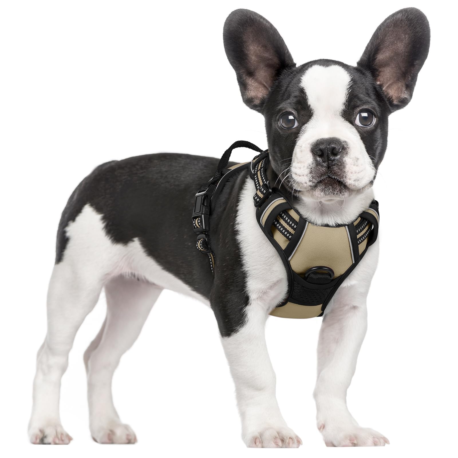 No Pull Dog Harness for Large Dogs – Adjustable Pet Vest with 2 Leash Clips