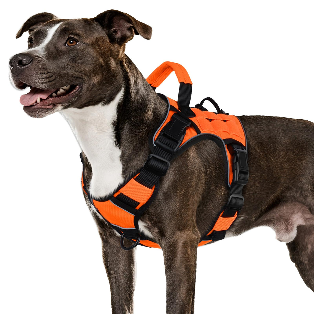 Tactical Dog Harness for Large Dogs – Adjustable No Pull Harness with Handle