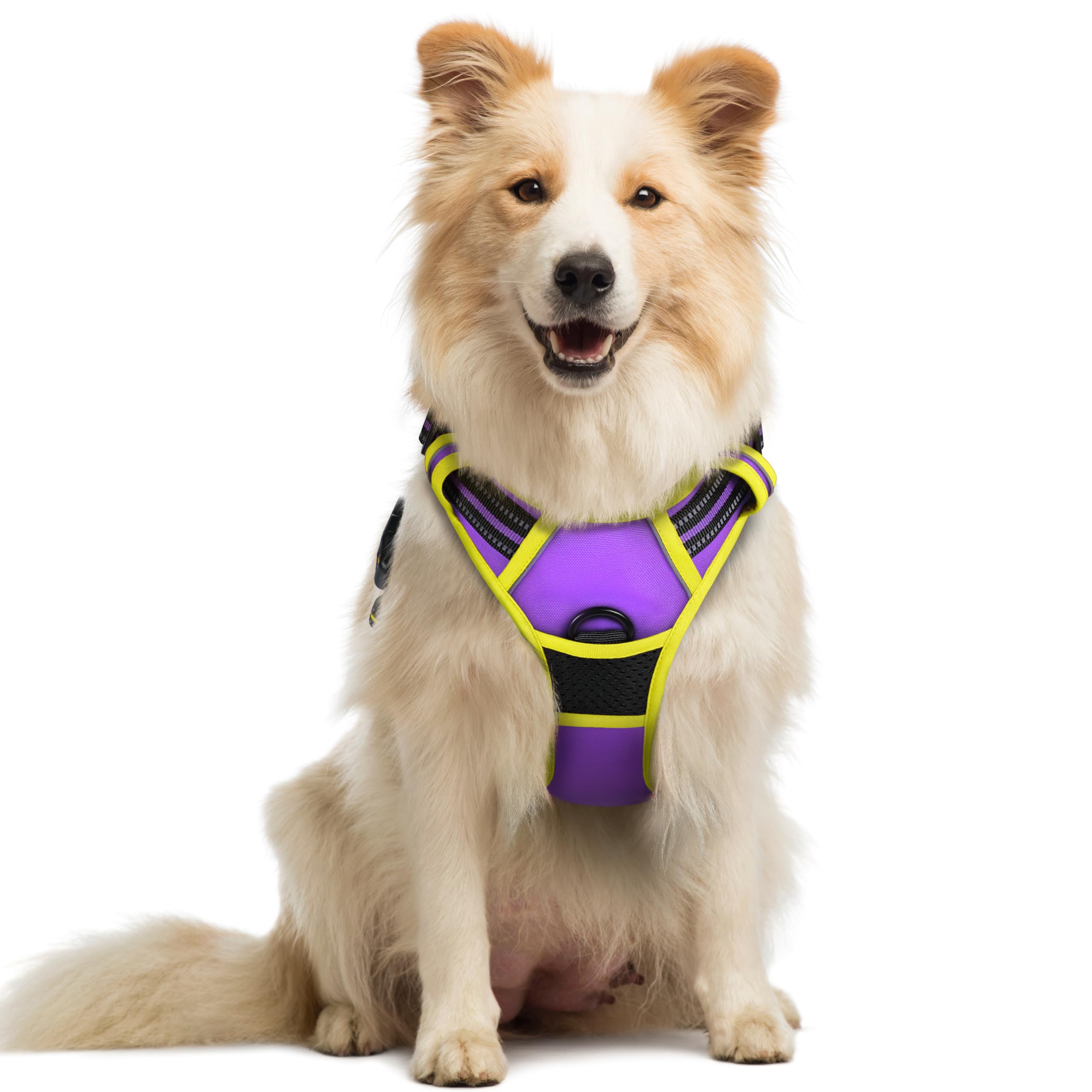 No Pull Dog Harness for Large Dogs – Adjustable Pet Vest with 2 Leash Clips