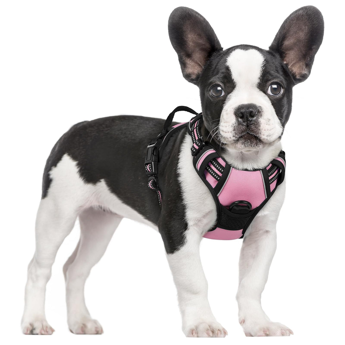 No Pull Dog Harness for Large Dogs – Adjustable Pet Vest with 2 Leash Clips