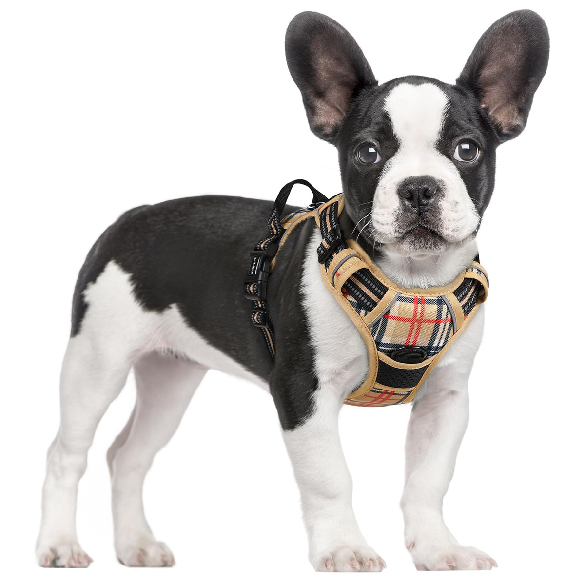 No Pull Dog Harness for Large Dogs – Adjustable Pet Vest with 2 Leash Clips