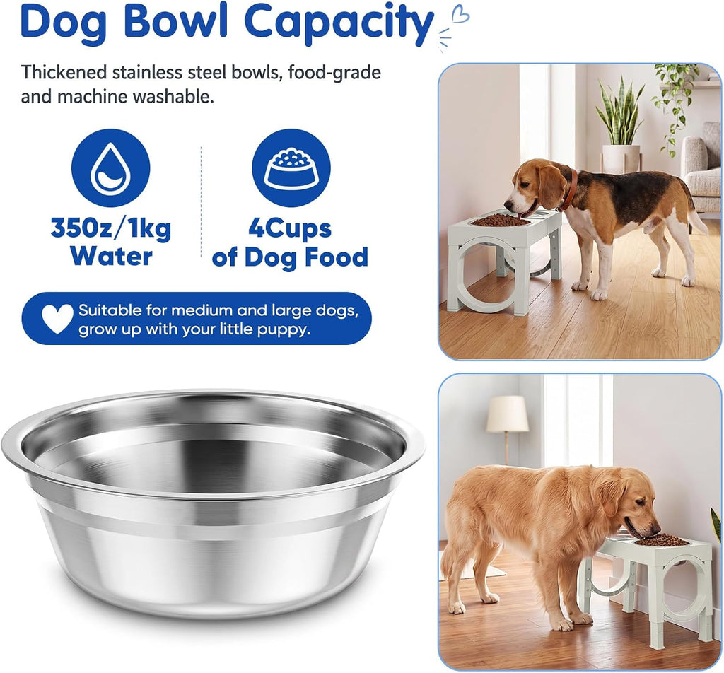 Adjustable Elevated Dog Feeder with 2 Steel Bowls