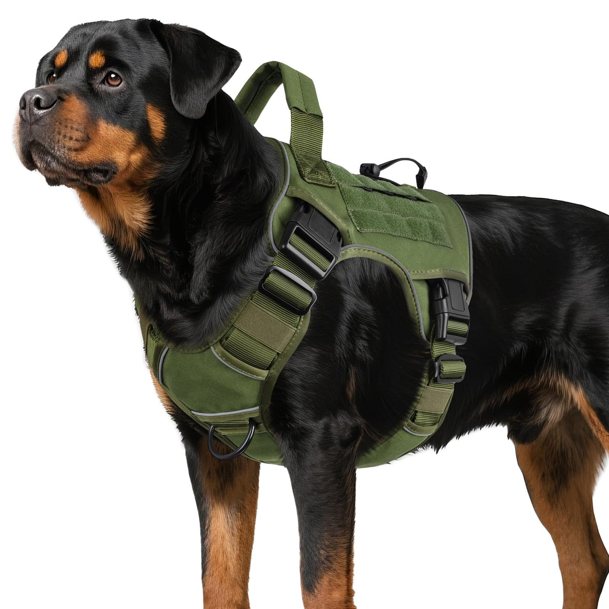 Tactical Dog Harness for Large Dogs – Adjustable No Pull Harness with Handle