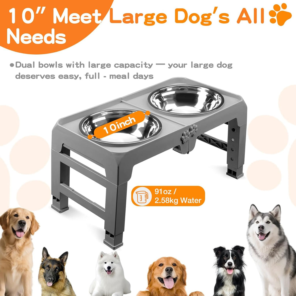 5-Height Large Dog Bowl Stand with 2 XL Steel Bowls