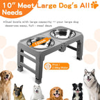 5-Height Large Dog Bowl Stand with 2 XL Steel Bowls