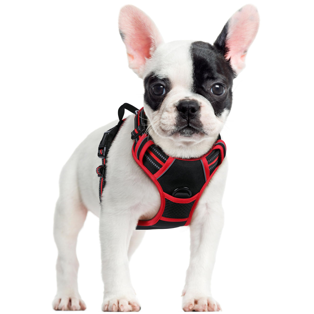 No Pull Dog Harness for Large Dogs – Adjustable Pet Vest with 2 Leash Clips