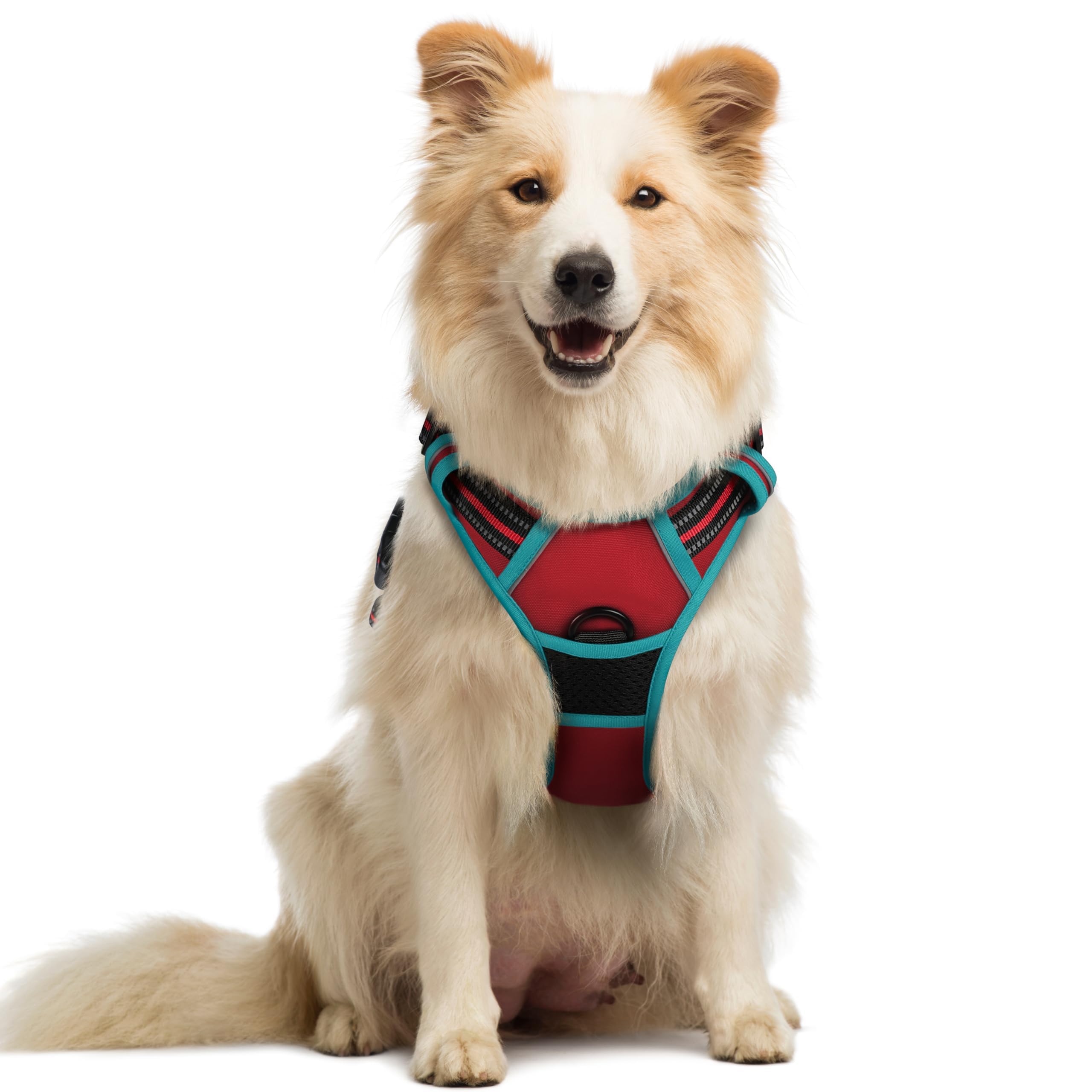 No Pull Dog Harness for Large Dogs – Adjustable Pet Vest with 2 Leash Clips