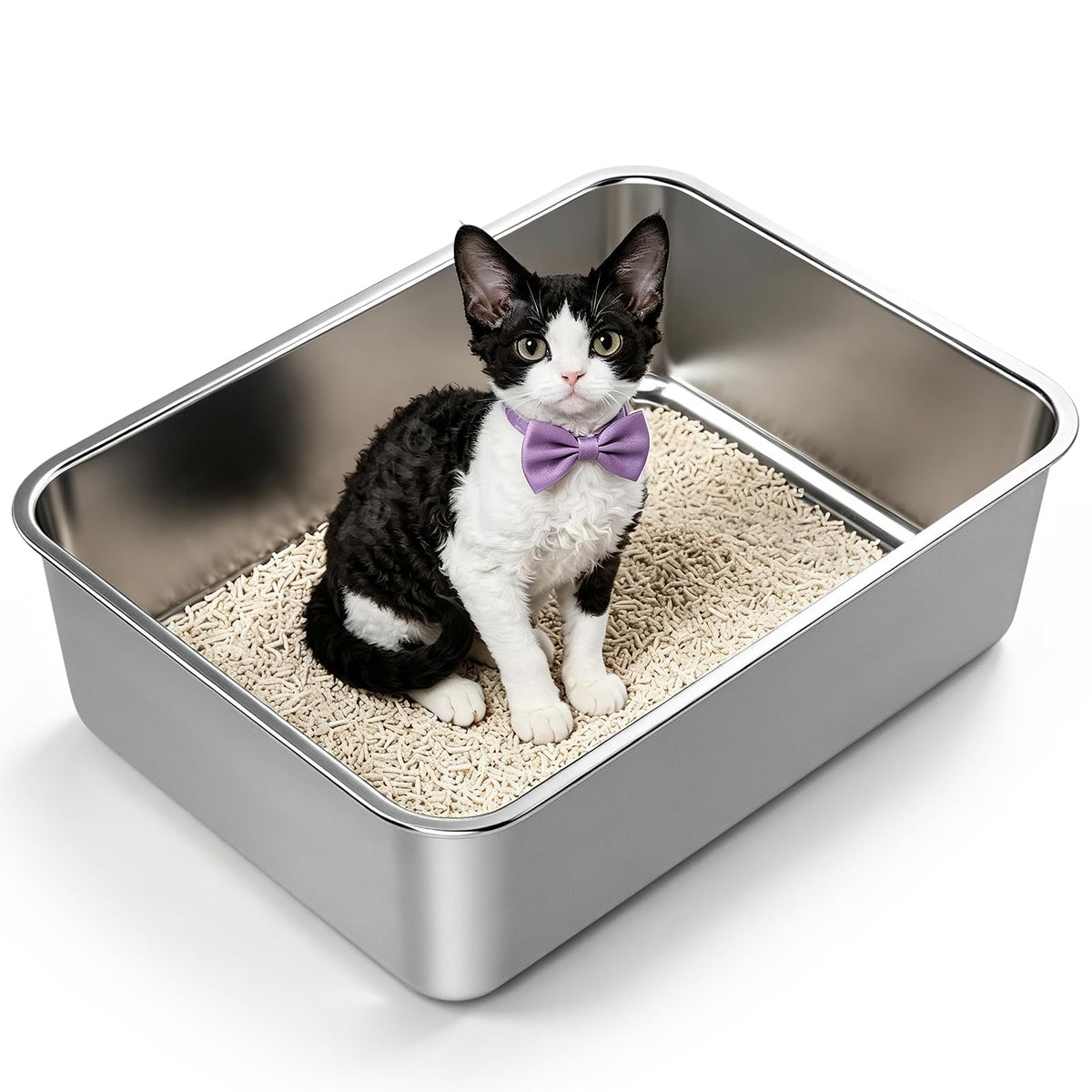 Compact Stainless Steel Cat Litter Box with Scoop