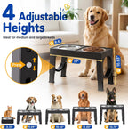 Adjustable Elevated Dog Bowl Stand with 2 Steel Bowls