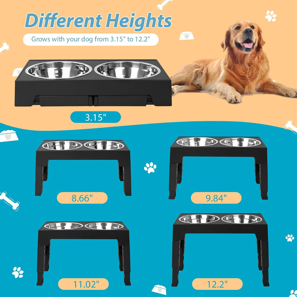 5-Height Elevated Dog Bowl Stand with 2 Steel Bowls