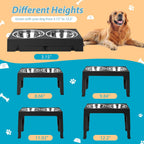 5-Height Elevated Dog Bowl Stand with 2 Steel Bowls