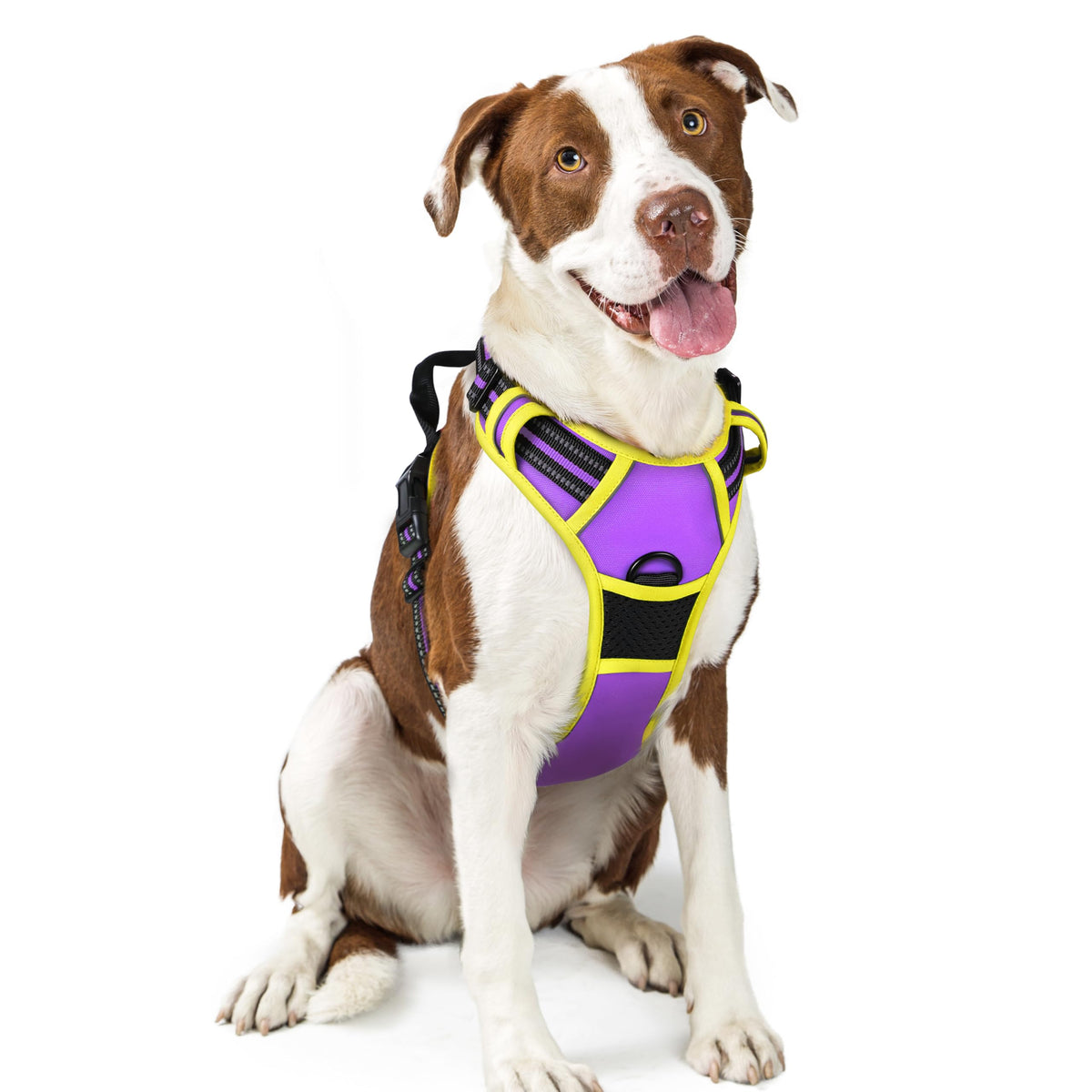 No Pull Dog Harness for Large Dogs – Adjustable Pet Vest with 2 Leash Clips