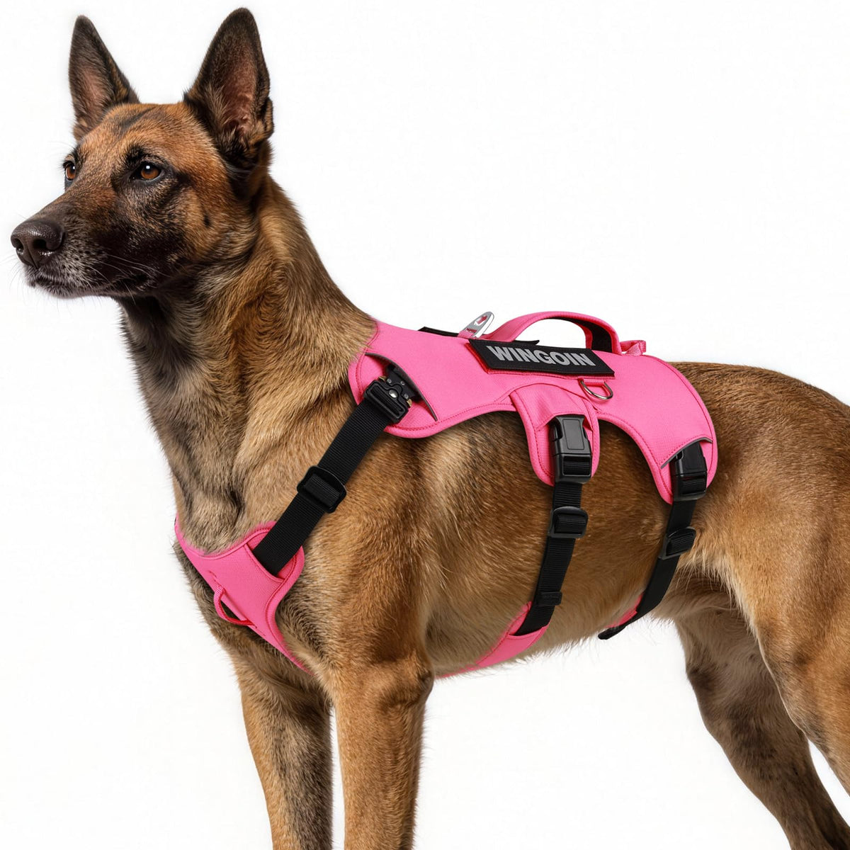 Tactical Dog Harness for Large Dogs – Adjustable No Pull Harness with Handle